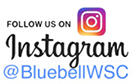 Follow Us on Instagram